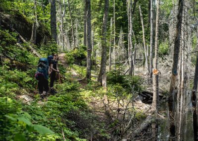 Sentier : Chez qui marchez-vous?