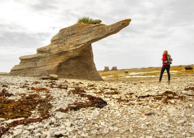 La Côte-Nord en deux îles