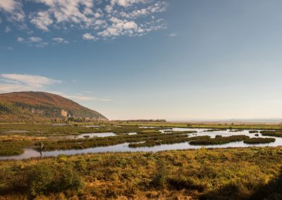 Réserve naturelle du Cap-Tourmente