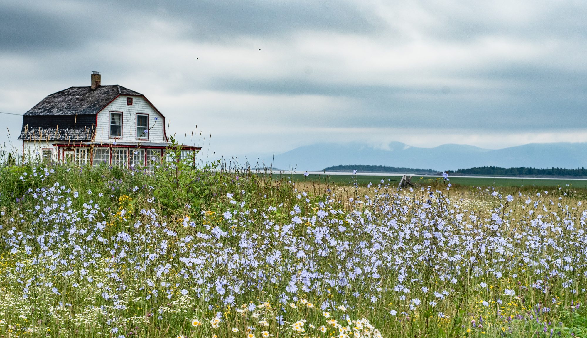 5 raisons de visiter l'IsleauxGrues Explorez Blogue de Rando Québec