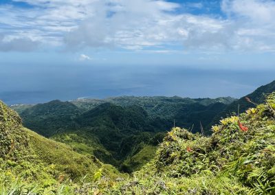 La Martinique à pied