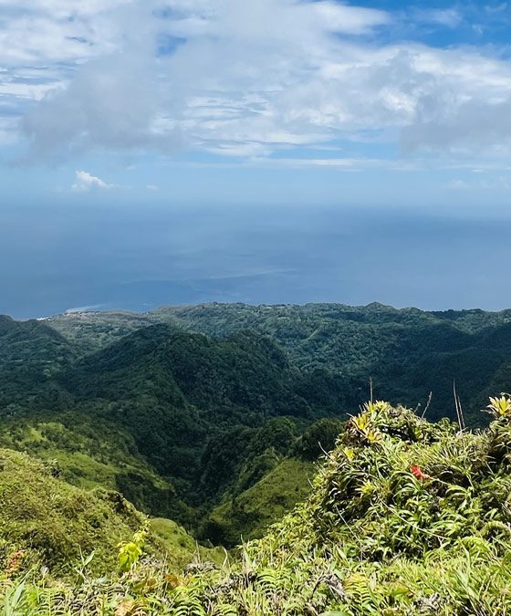 La Martinique à pied