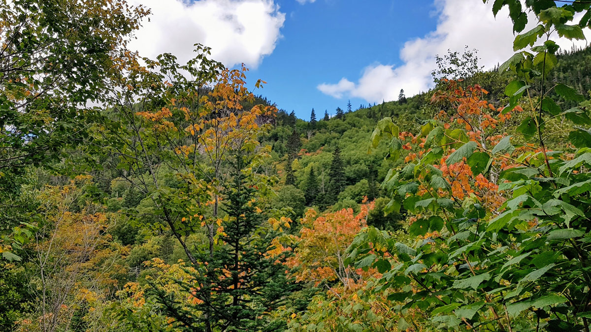 automne quebec charlevoix randonnée sentier national