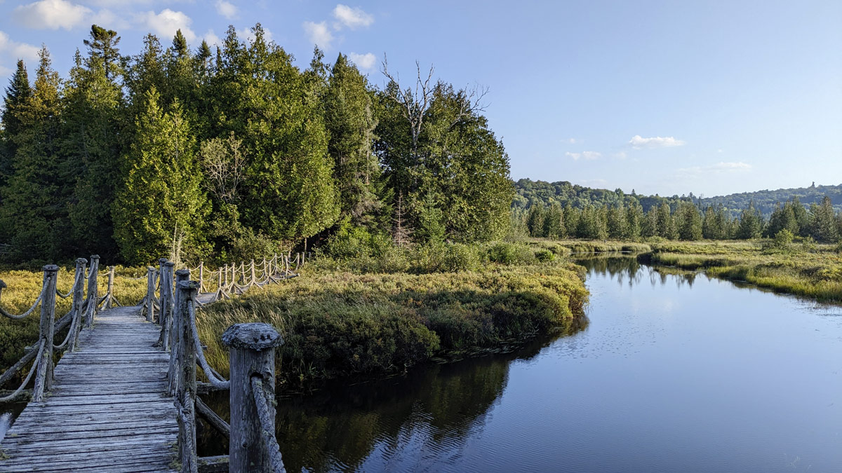 tour lac windigo montagne du diable rando avec chien laurentides