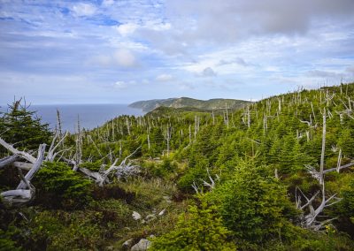 East Coast Trail Canada 30 ans