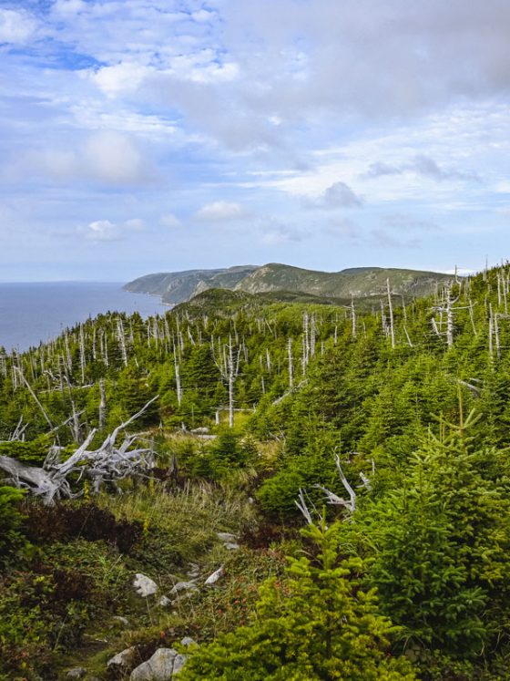 East Coast Trail Canada 30 ans