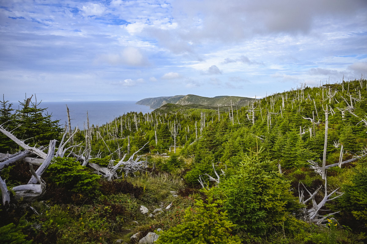 East Coast Trail Canada 30 ans