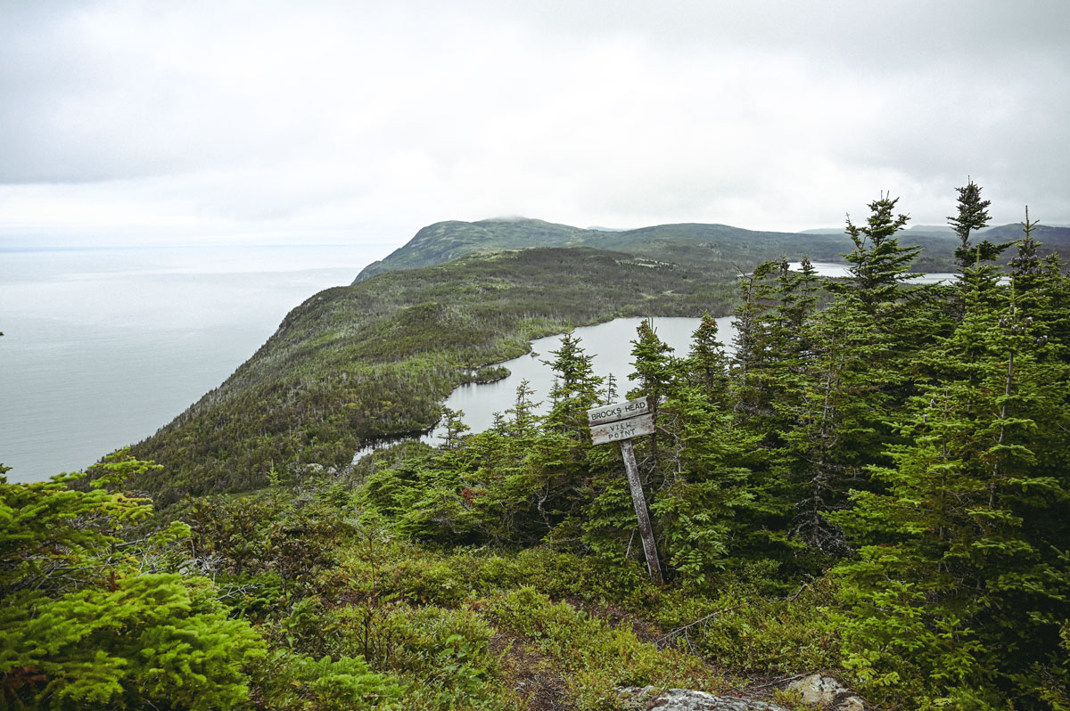 Terre Neuve canada randonnée east coast trail