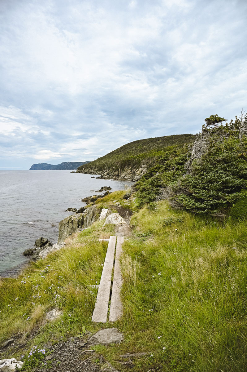 Longue randonnée Terre neuve canada