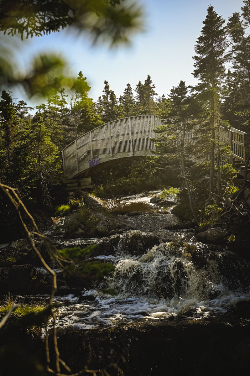 Randonnée Terre Neuve Canada ECTA